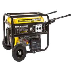 Sumec Firman SPG3800E2 3.1kva