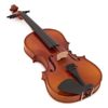 Premier Violin Complete Set
