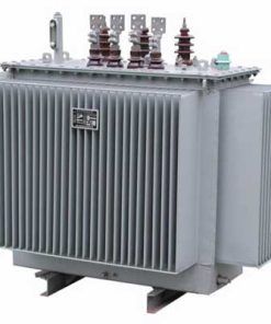 Astor Distribution Transformer 100KVA 11/0.415v